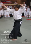 Aikido - Kalendář 2007