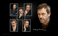 Hugh Laurie / Gregory House